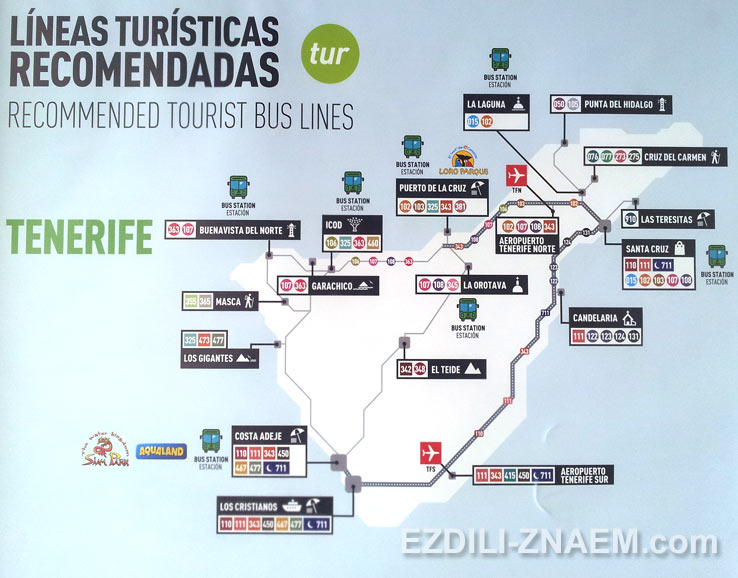 Без машины на Тенерифе, автобусы: расписание, маршруты, стоимость проезда – 2019   * Испания