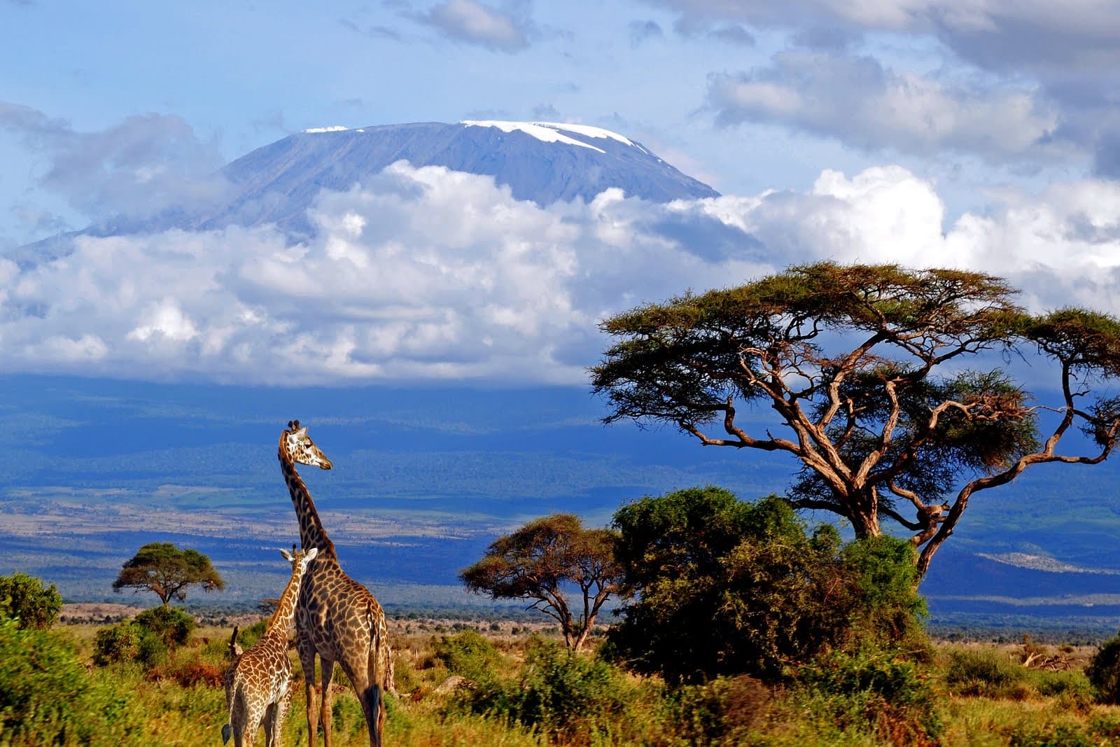 Танзания — популярные достопримечательности (с фото)