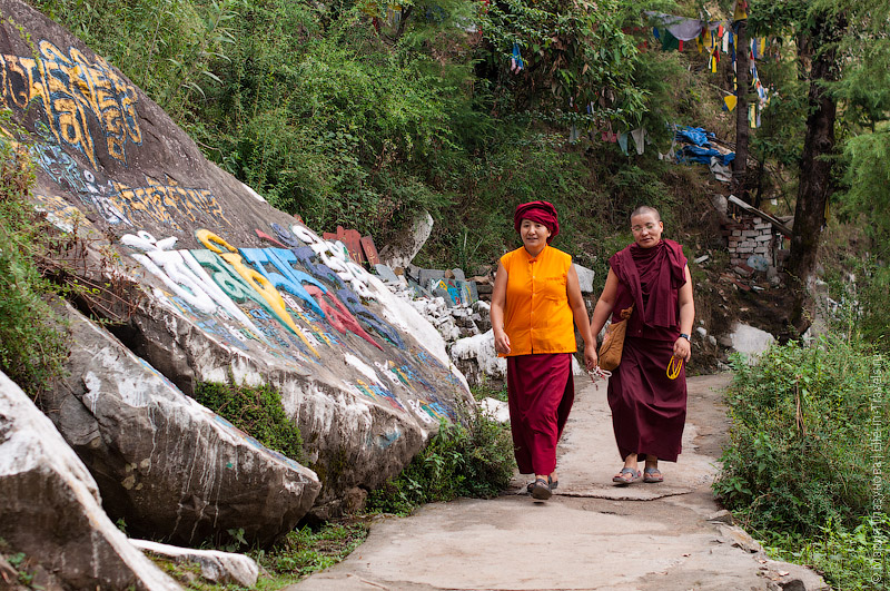 Как мы встретили Далай-ламу или маленькая Лхаса в Индии