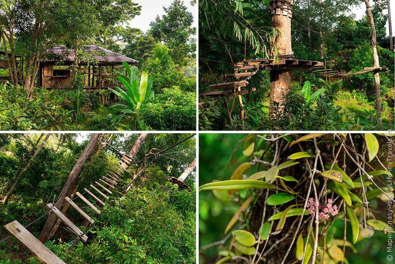 Just for fun – canopy & ziplines или прогулки по деревьям в Таиланде на острове Ко Панган