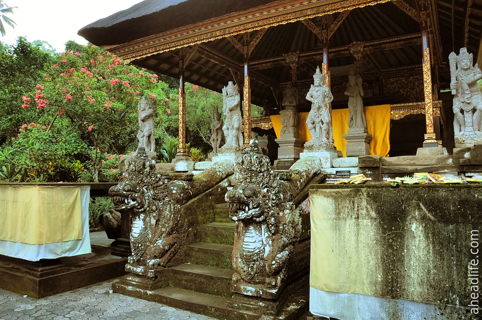Гунунг Кави – королевские гробницы в скалах или самое необычное кладбище на Бали с видом на вулкан Агунг
