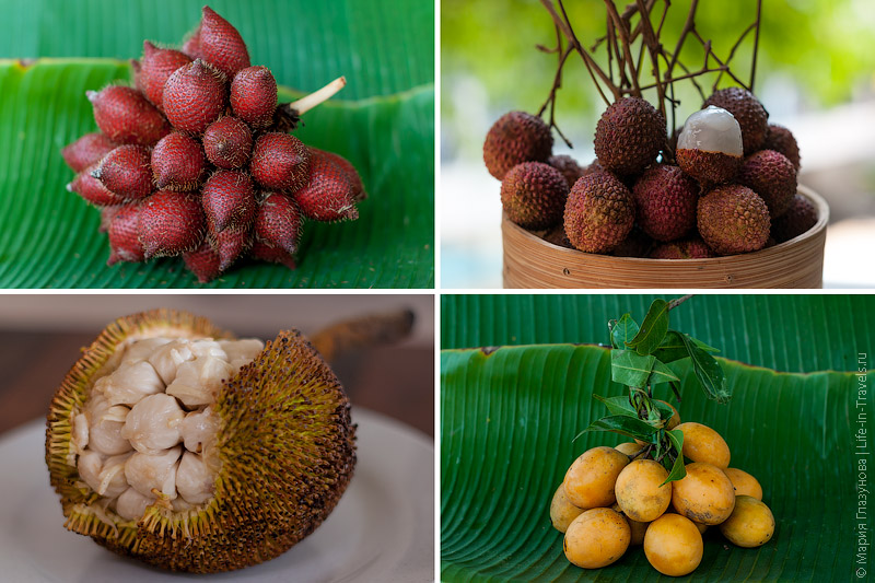 Тропические фрукты: 5 экзотических новинок в нашей коллекции