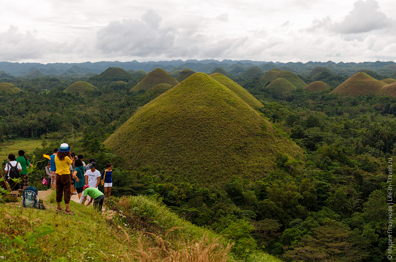 Шоколадные холмы и пучеглазые тарсиеры на острове Бохол, или как мы попали в сказку на Филиппинах