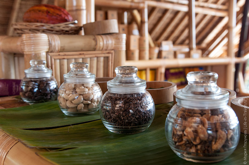Шоколадная бамбуковая фабрика на Бали "Big Tree Farms"
