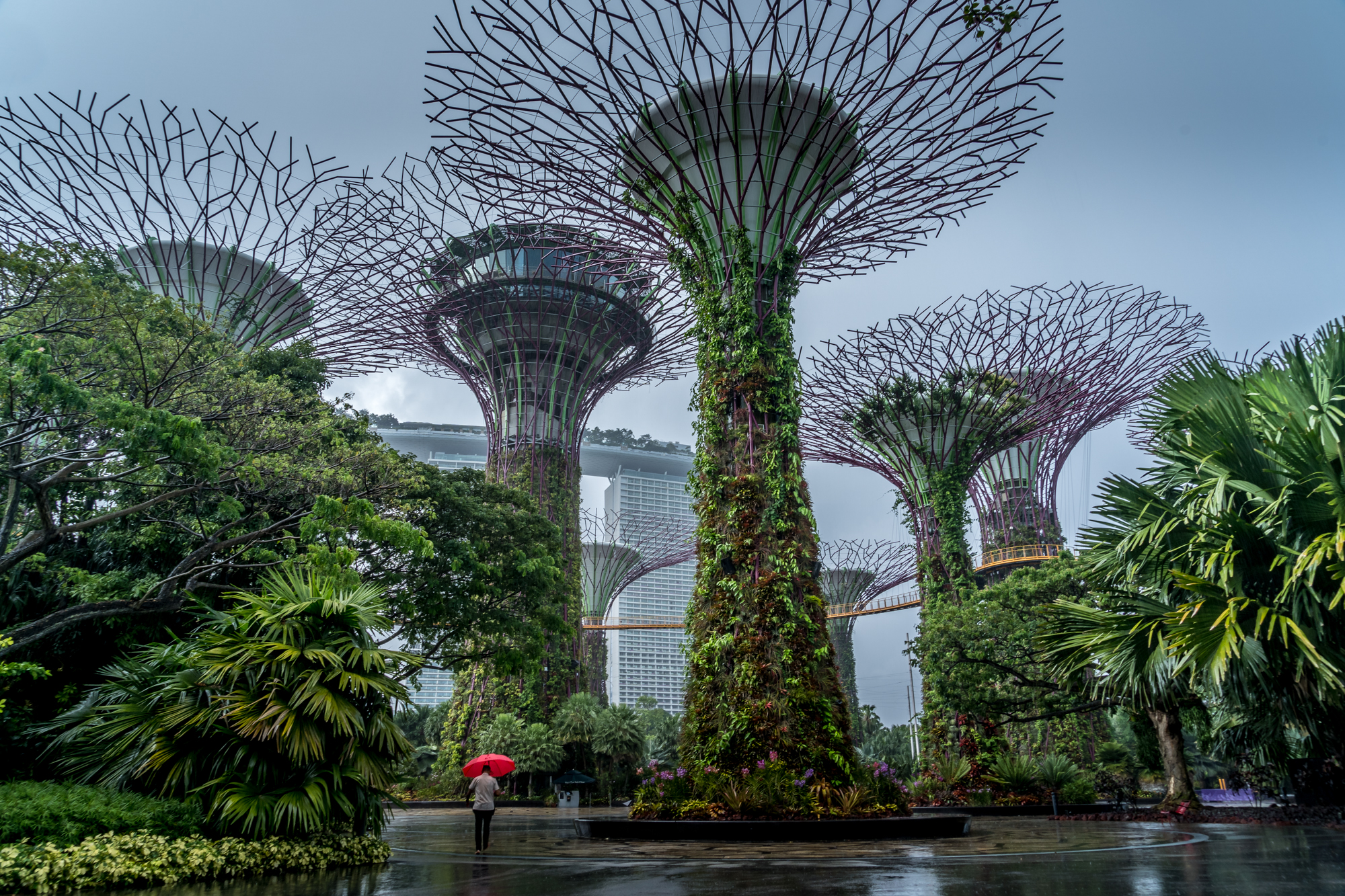 Сингапур – 60 любопытных и познавательных фактов