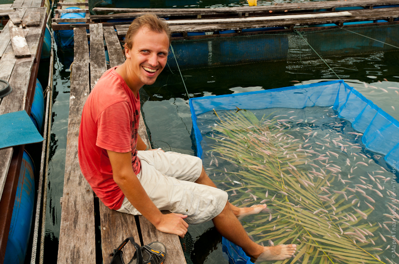 Озеро Кенир (Кеньир) – бизнес по разведению рыбы и спа на рыбной ферме